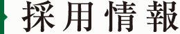 採用情報